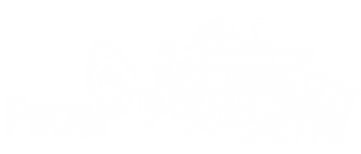 PYS White 012220.png