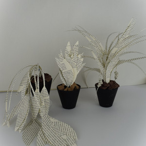 Nests, paper, apples and cloth, 2020