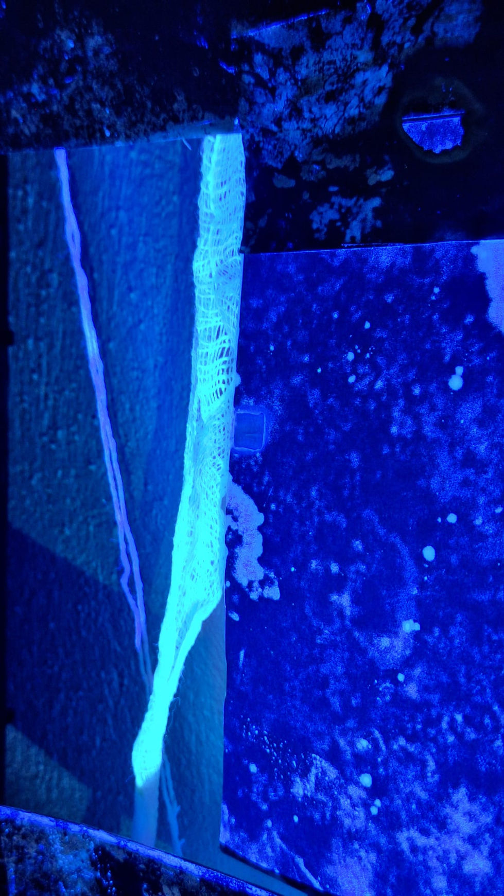 WhatsApp Image 2025-12-15 at 22.32.05 (1)