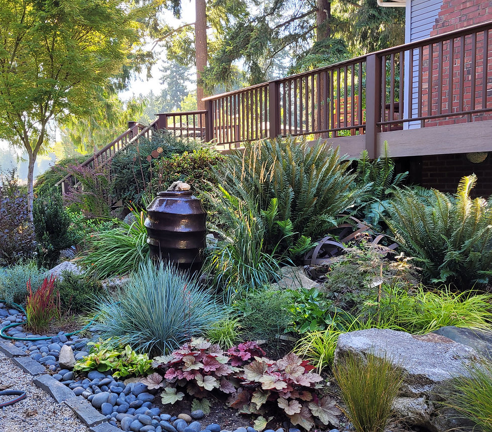 Eye-level view of a beautifully designed garden with a variety of plants and a seating area