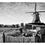 Miniatura: Holanda 12