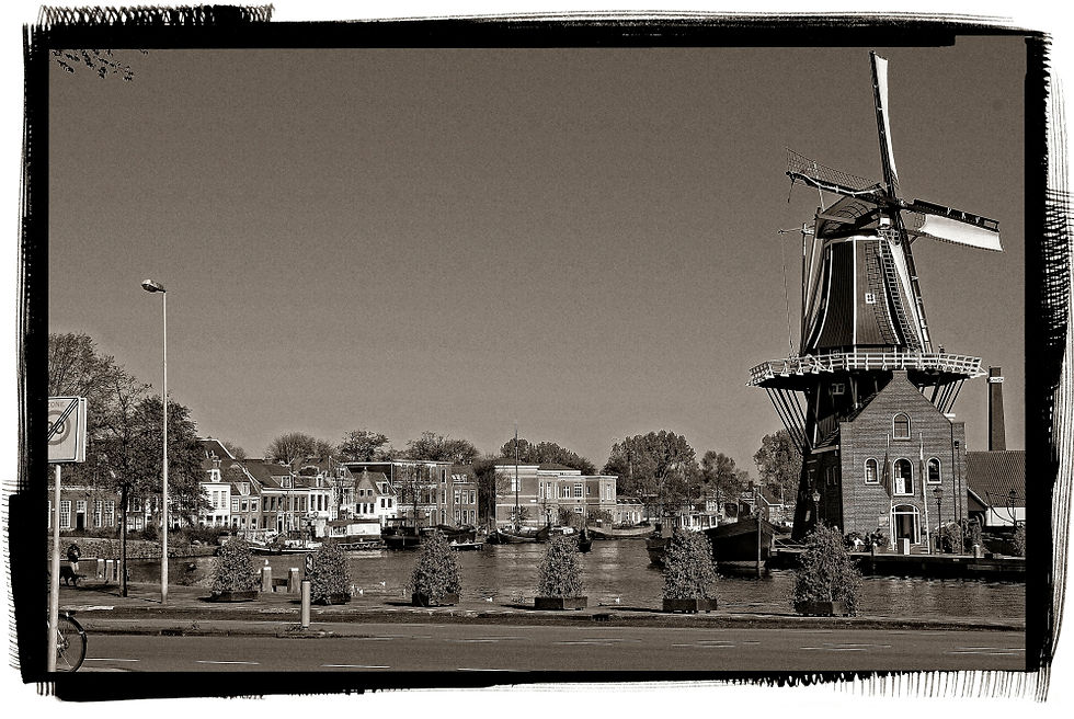 Miniatura: Moinho na holanda e casas