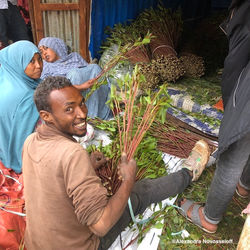 Kat market