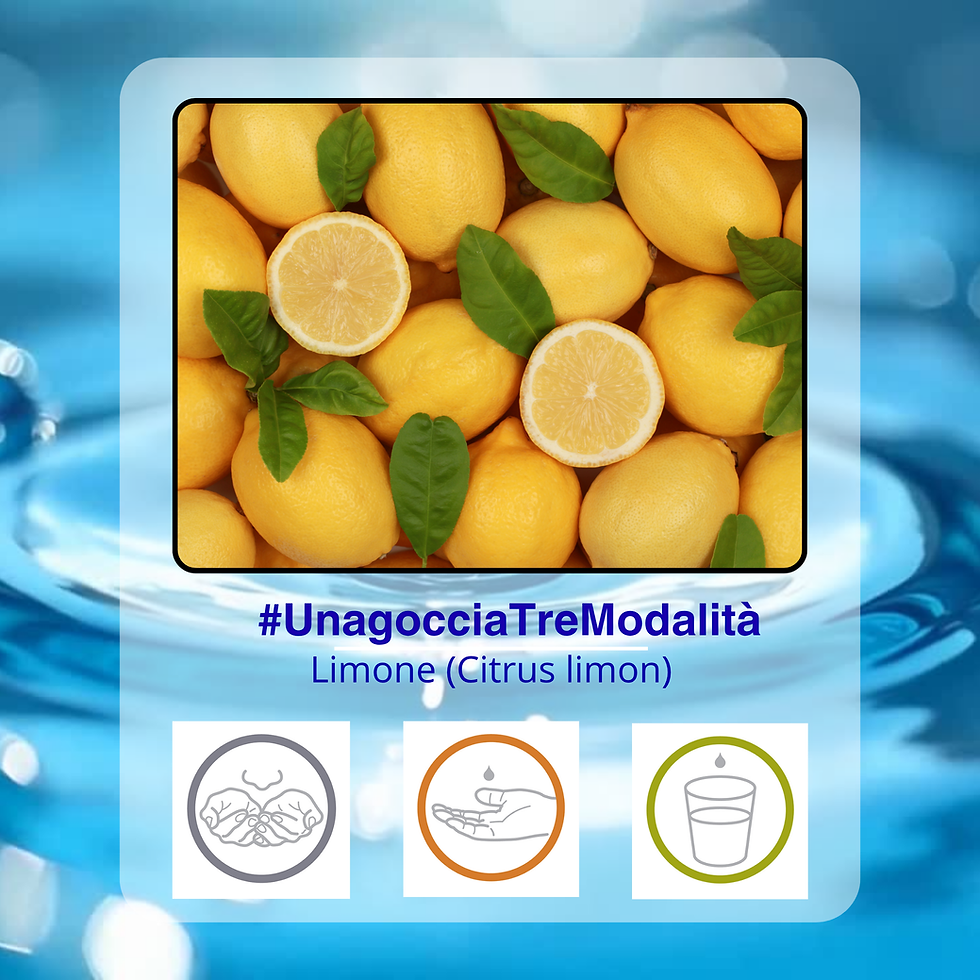 Olio Essenziale di Limone (Citrus limon)