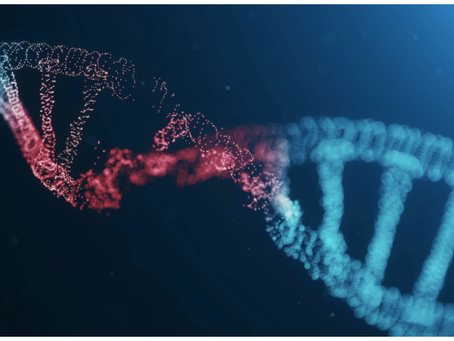 L'epigenetica e gli oli essenziali: come influenzano la nostra salute a lungo termine