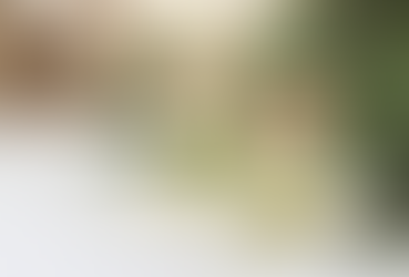 "L'arte della diffusione degli oli essenziali: benefici e consigli per l'inverno"