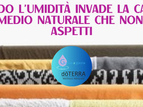 Quando l’umidità invade la casa: il rimedio naturale che non ti aspetti