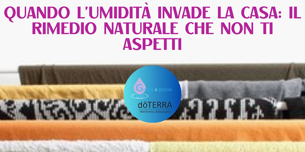 Quando l’umidità invade la casa: il rimedio naturale che non ti aspetti