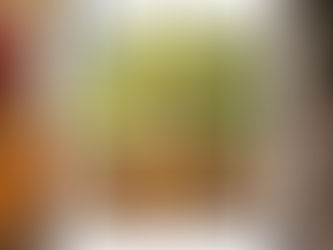 Incenso: dalla tradizione millenaria alla microcapsula liquida a doppia azione