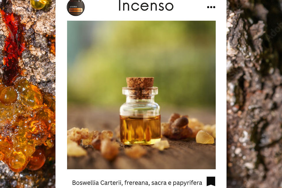 Incenso: dalla tradizione millenaria alla microcapsula liquida a doppia azione