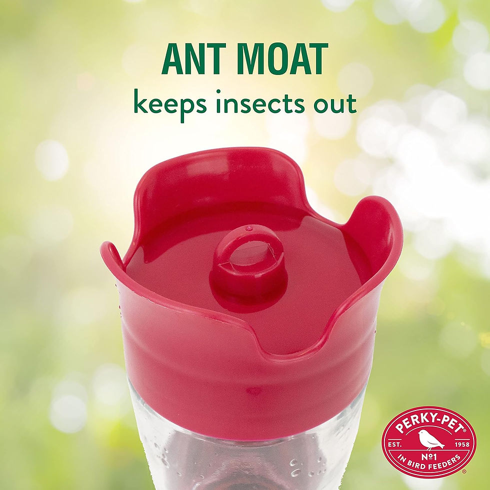 Thumbnail: Perky-Pet® Favoured Pinch-Waist Glass Hummingbird Feeder
