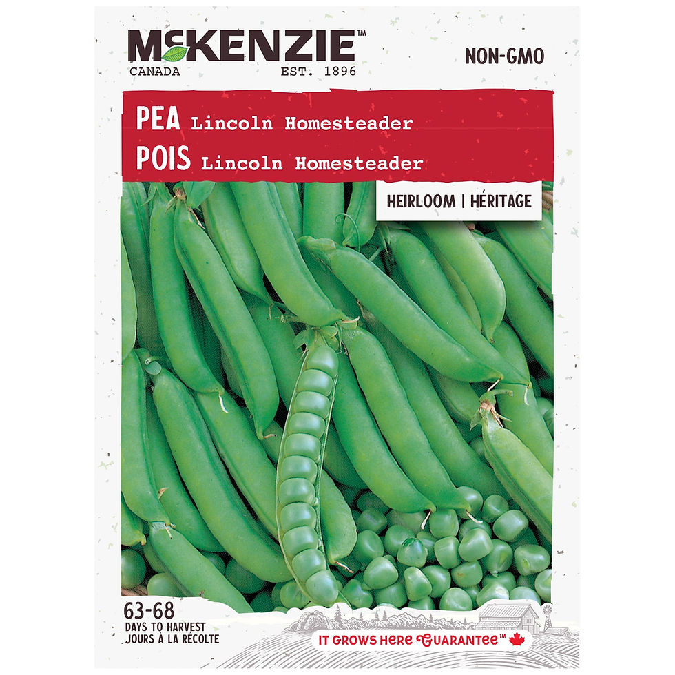 Thumbnail: McKenzie™ Pea Seeds