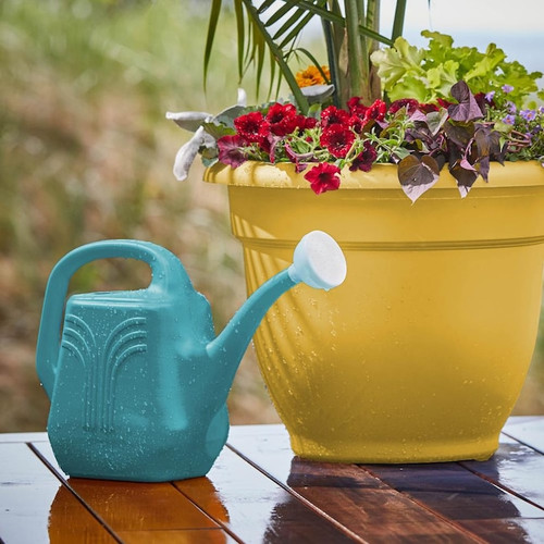 Bloem 2Gal. Classic Plastic Watercan | Jetty's