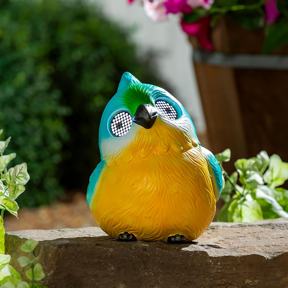 Thumbnail: Playful Peepers Solar Statuary