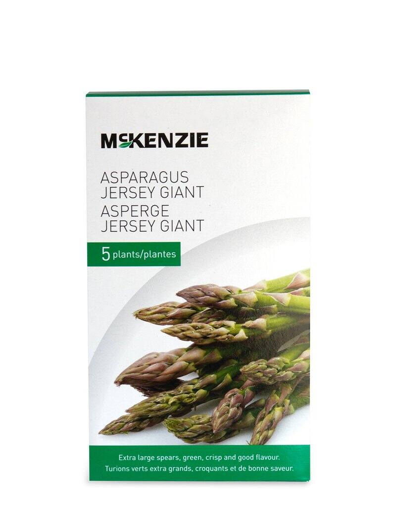Thumbnail: McKenzie® Asparagus Roots