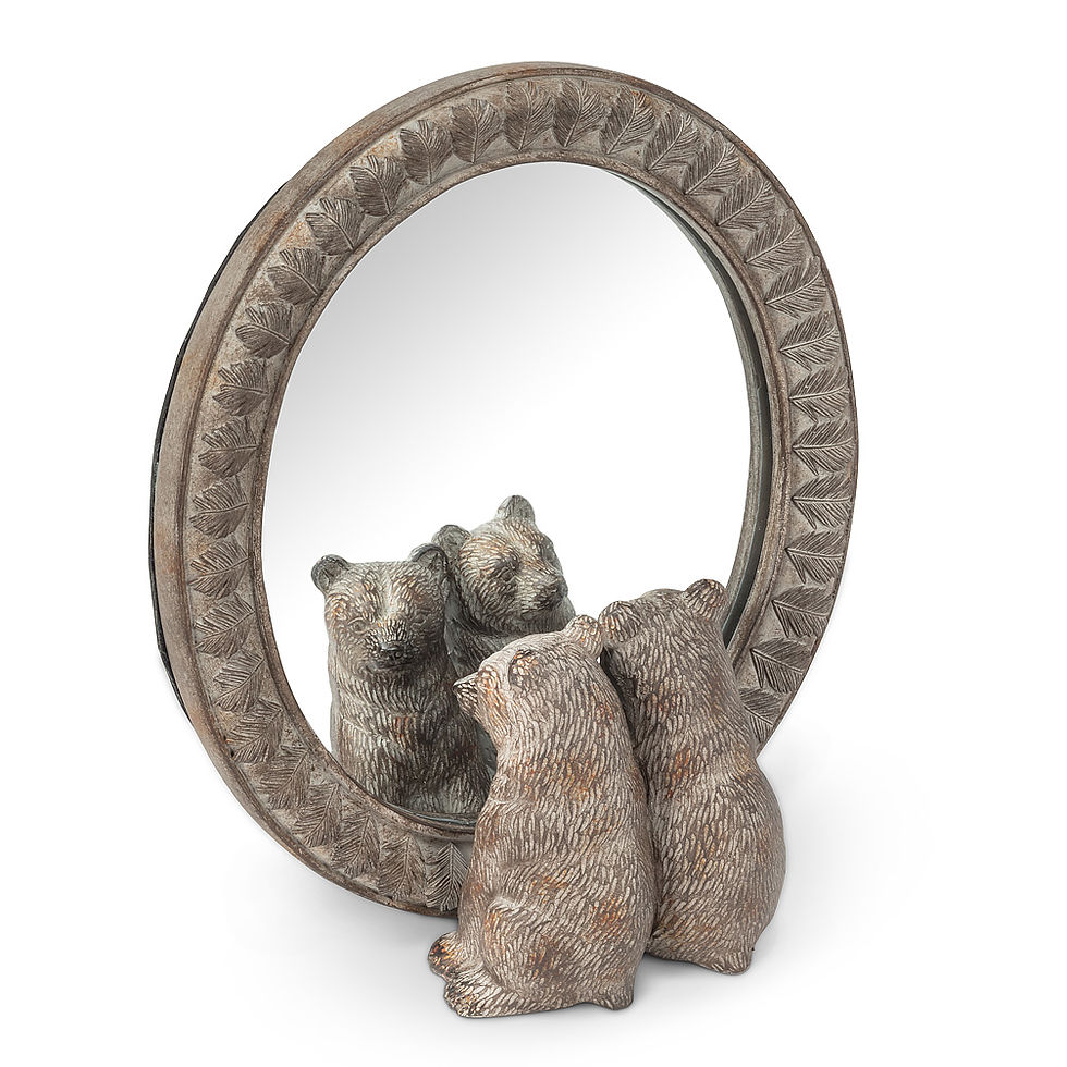 Two Bears in Mirror