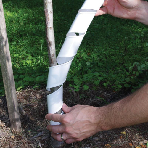 Spiral Tree Guards (4pk) | Jetty’s