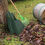 Thumbnail: Leaf Grabber Hand Rake