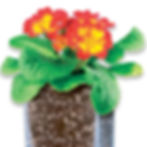 Thumbnail: Lambert® Perlite, 8.8L