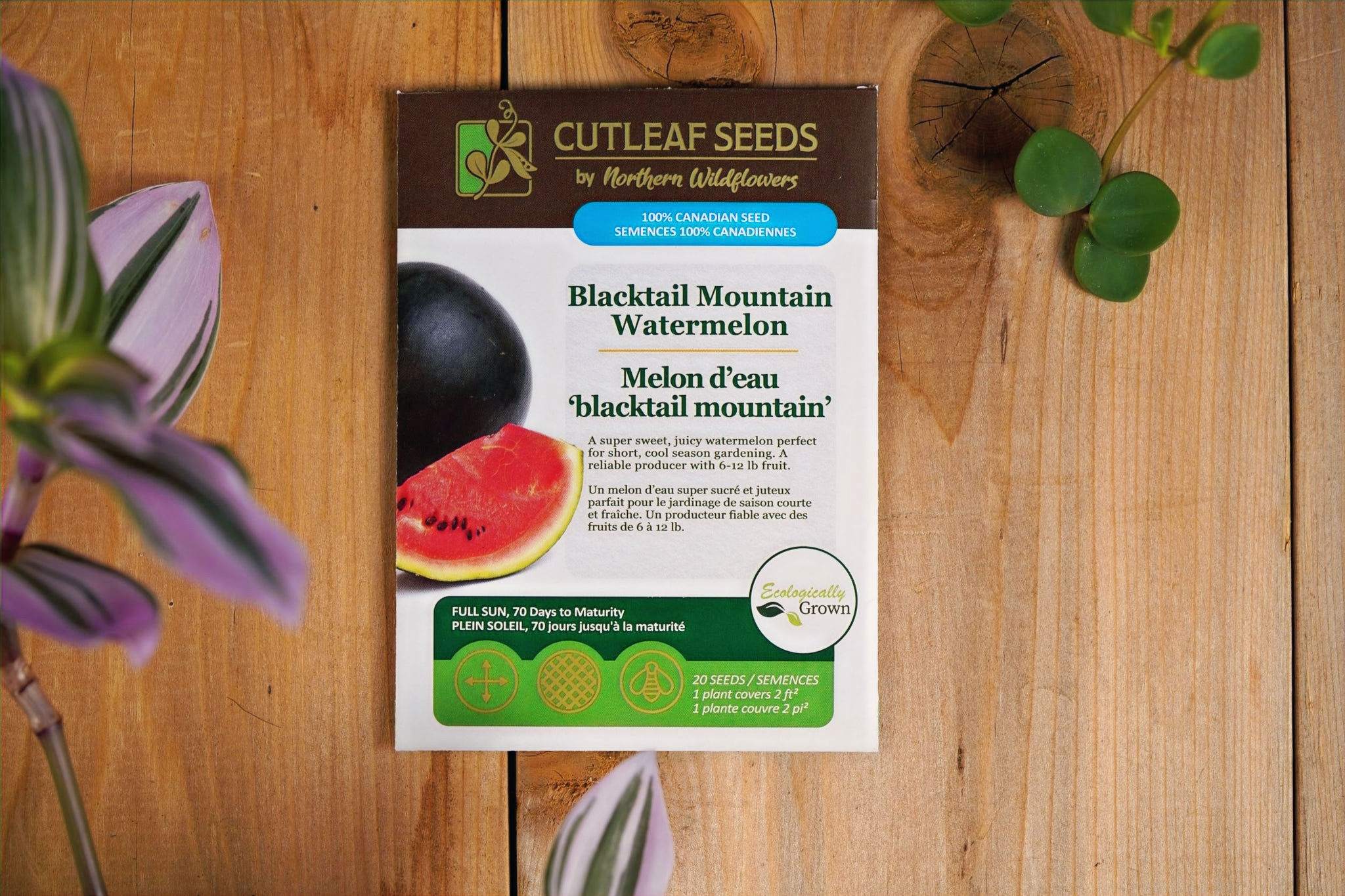 Cutleaf Seeds — Watermelon