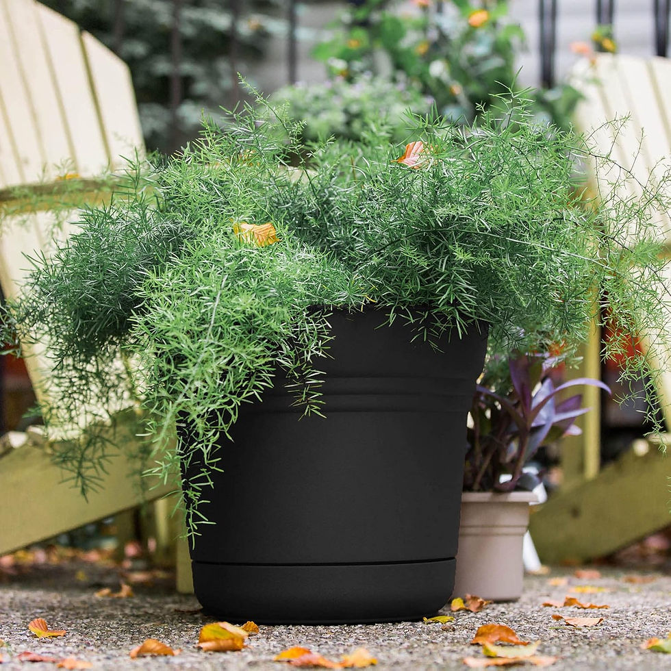 Thumbnail: 10" Saturn Planter