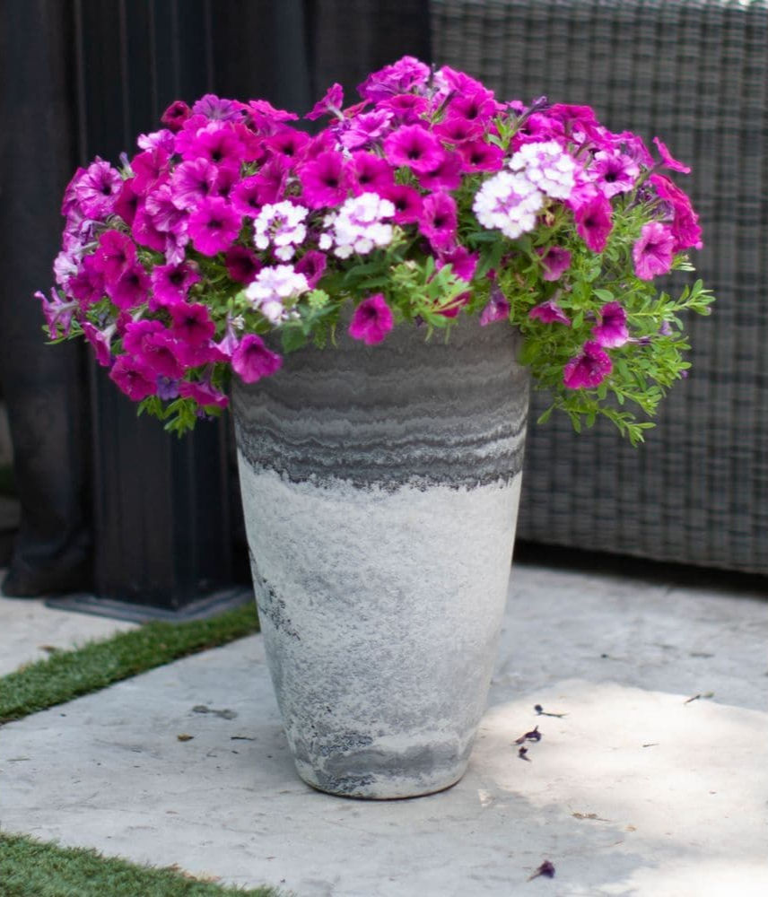 Curved Vase Planter