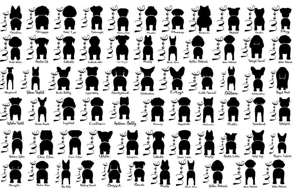 Thumbnail: Leash Holder