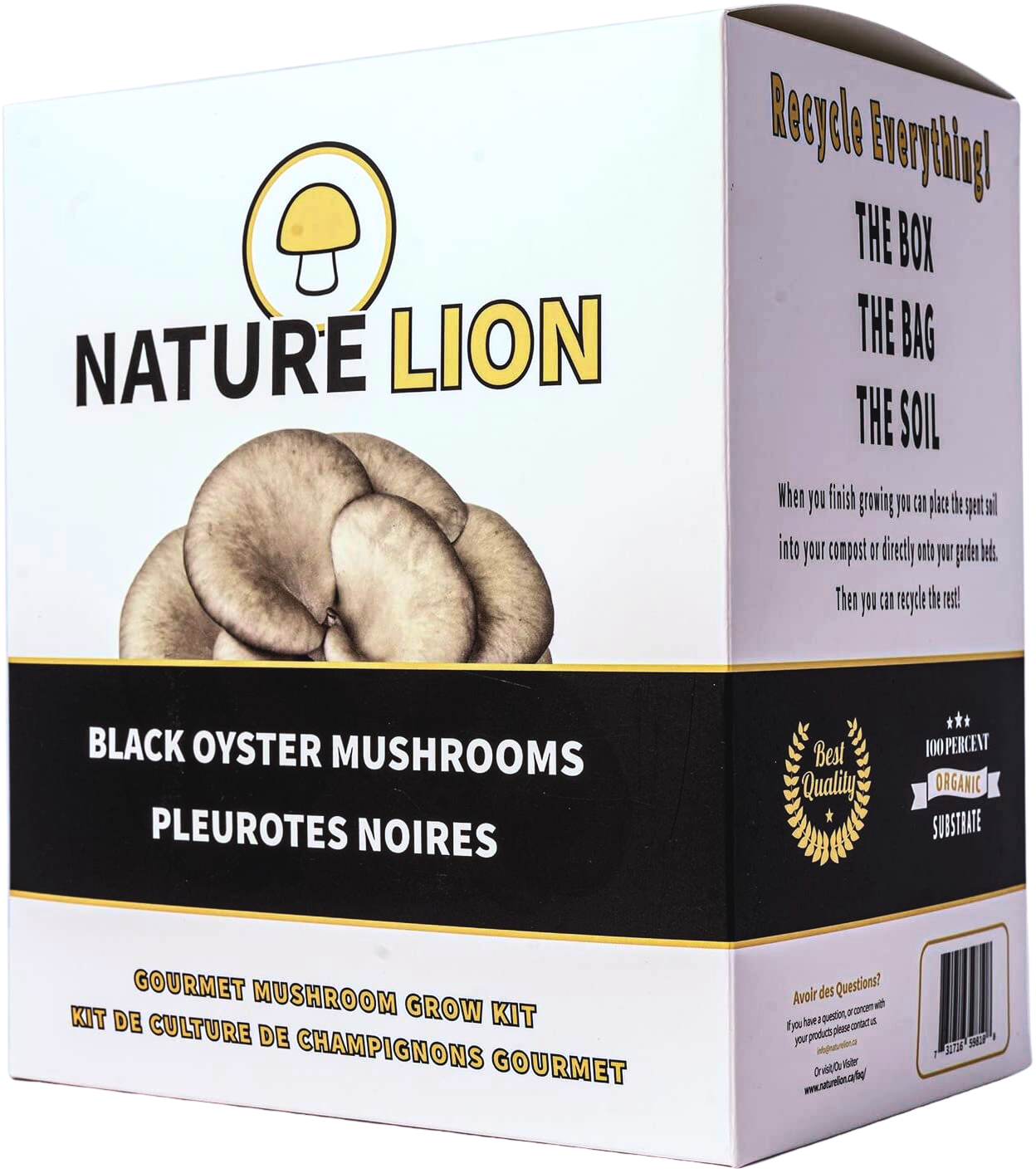 Black Oyster Mushroom Grow Kit