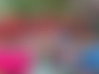 Selva Foods Thailand Joins the Movement for Sustainable Food in Thailand