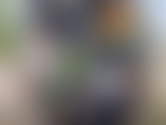 Beuang Nakorn SAO donated surplus produce to SOS Hua Hin branch through Rescue Farm Program