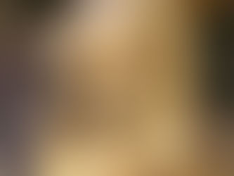 FEMALE SHIH TZU
