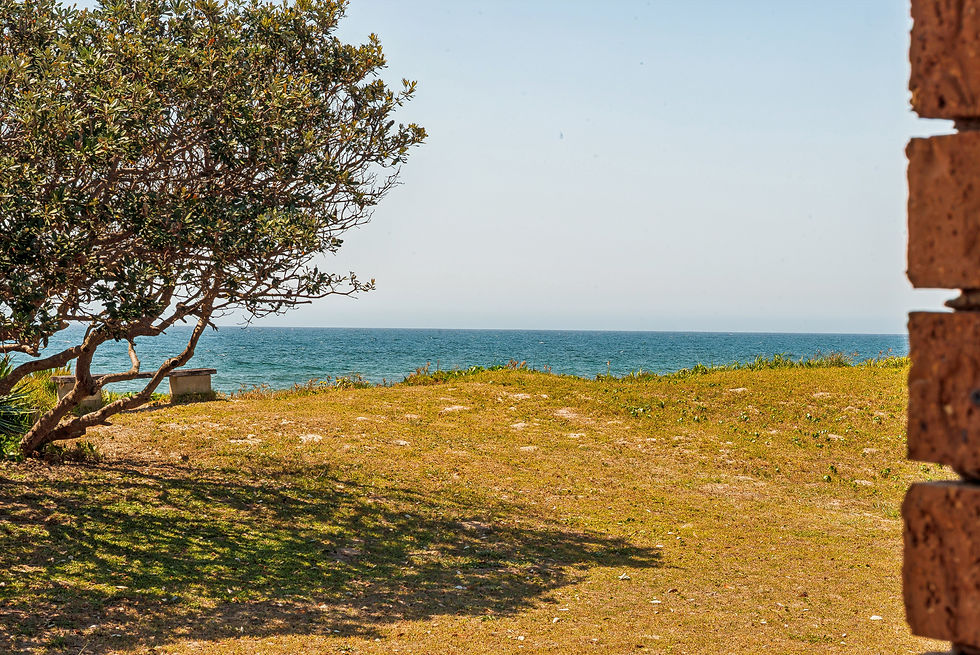 NSW North Coast holiday rental backyard