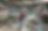 _0000205_edited_edited_edited_edited.png