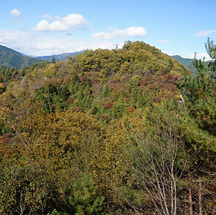 八重山・能岳