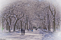 06 The Mall_4440x2960