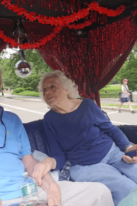 InShot_20231111_215723641