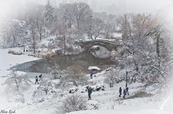 13 The Pond_4608x3072