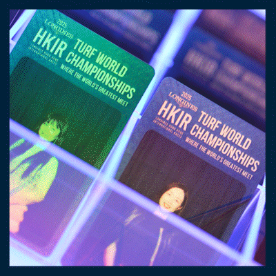 flash PVC website.gif