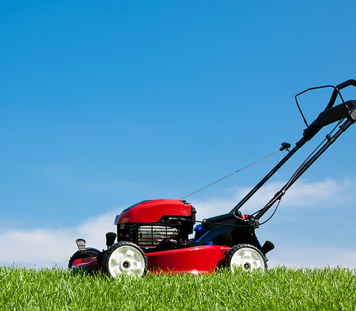 Doyle lawnmowers hot sale