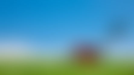 "Top 10 Tips for Maintaining Your Petrol Lawnmower"