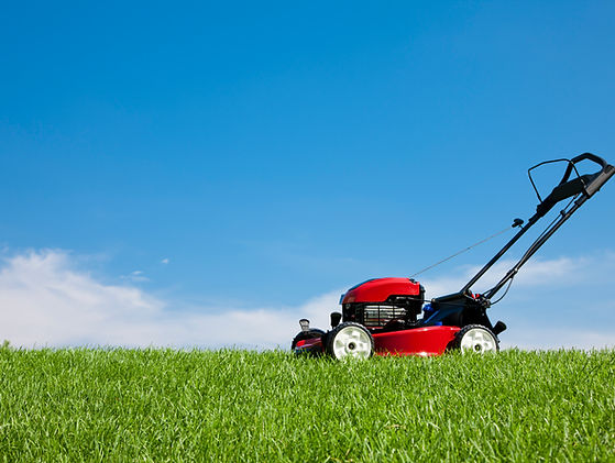 Red Lawn Mower
