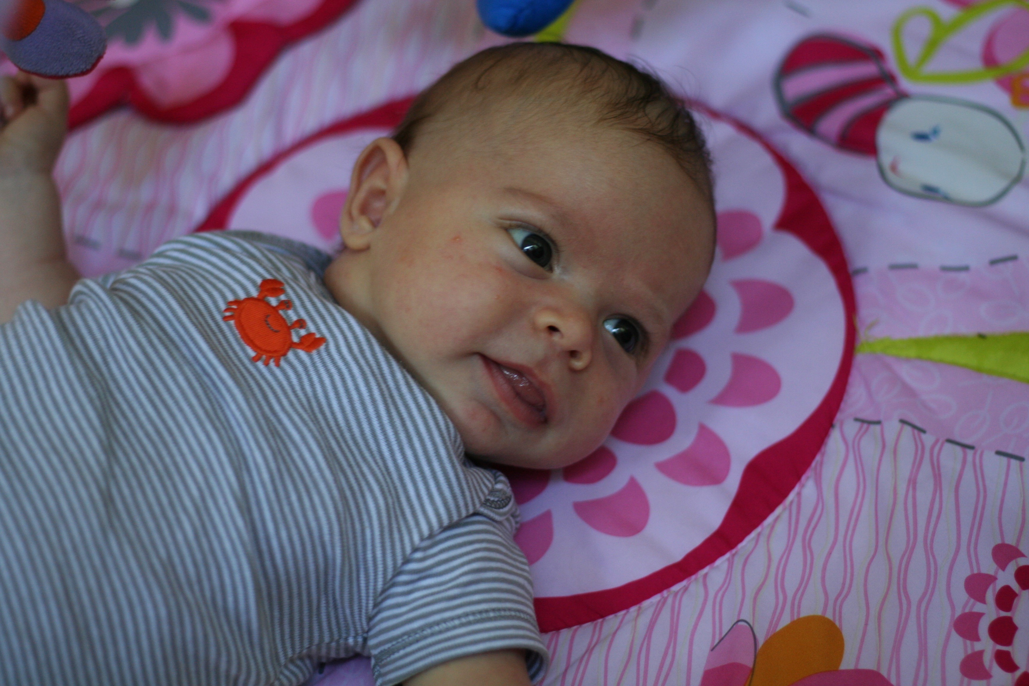 Mattan Schuldiner Born in 2012 during Maya's tenure run proud younger brother of Noam and Daniel