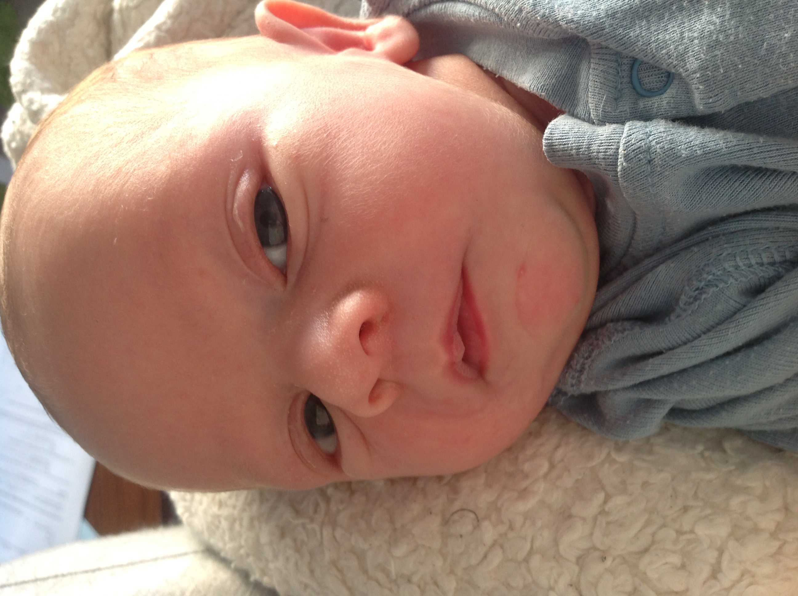 Balazs Megyeri, born in 2013 during Marton's postdoc, proud brother of Milan and Blanka