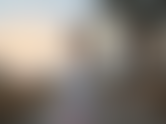 Vos émotions-centre du bien-être le Phénix-Laval