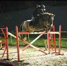 sport études, val equi school, equitation, paris, ile de france, val d'oise, ves, college, lycee, cheval
