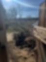 IMG_0342 (1).jpeg