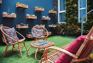 Urban Garden