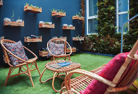 Jardim Vertical | Catálogo de Plantas do Site Dimensão da Natureza