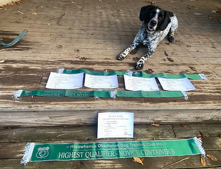 Potter - Agility Awards