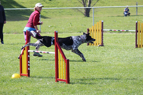 Mono - Agility